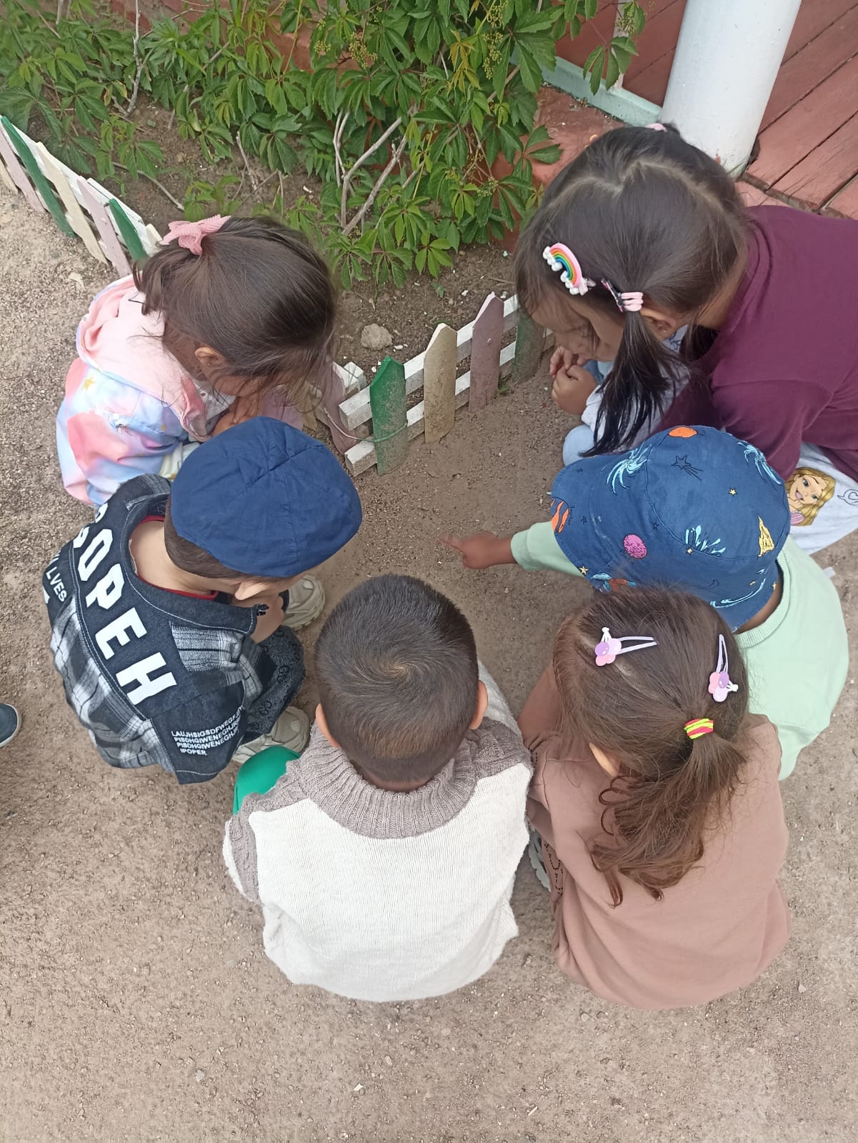 Құмырсқаны бақылау