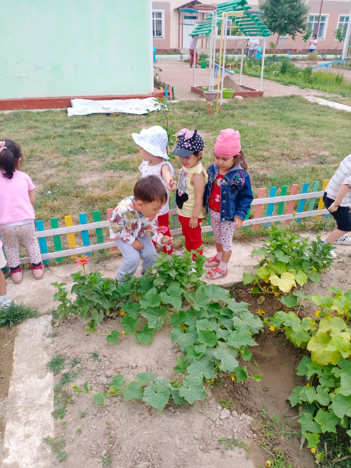 Бақшаны бақылау